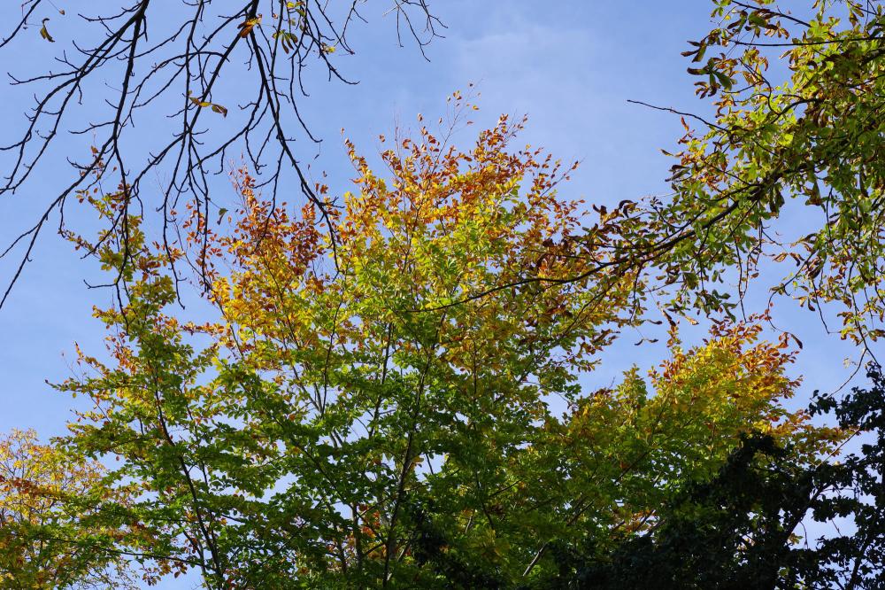 AdobeStock_300874597